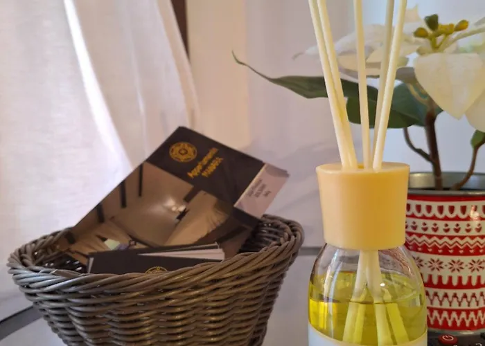 Manara 졸라프레도사